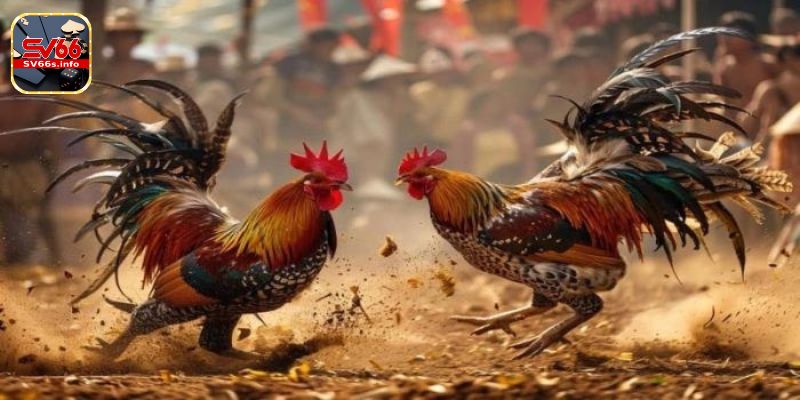 Giới Thiệu ALO789: Đánh Giá Tổng Quan Về Các Dịch Vụ Cá Cược Online 3 gioi thieu alo789 2